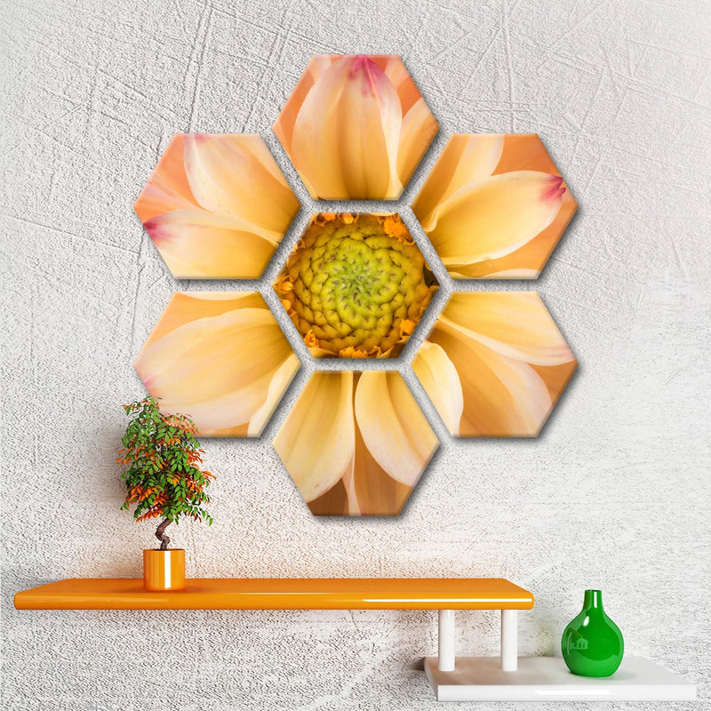 Lovely Dahlia Wall Art