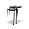 Dexter Smoked Black Cast Glass Nesting Tables | ready to ship!