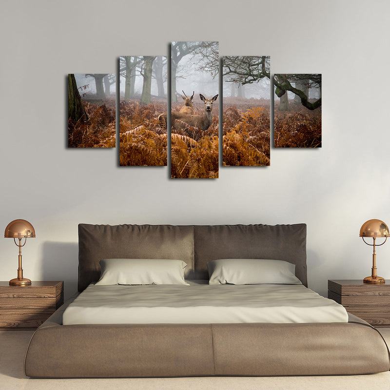 Richmond Park Deer Wall Art