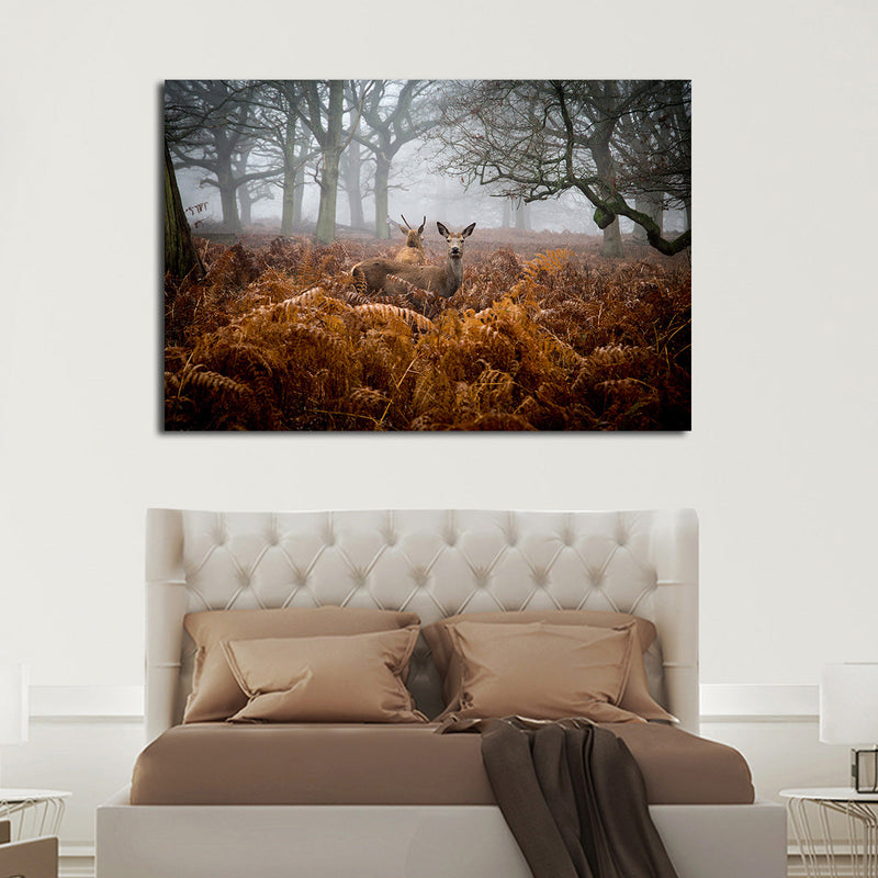 Richmond Park Deer Wall Art