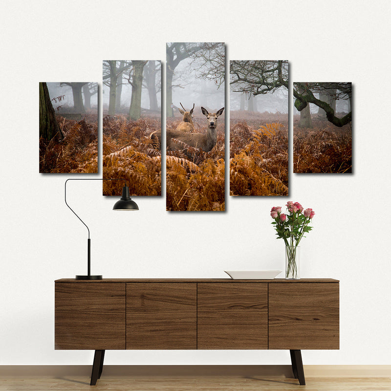 Richmond Park Deer Wall Art