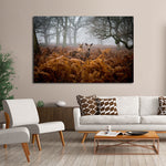 Richmond Park Deer Wall Art