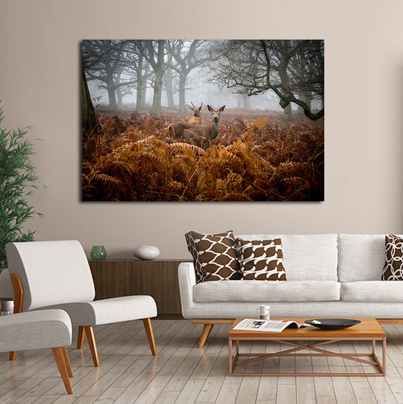 Richmond Park Deer Wall Art