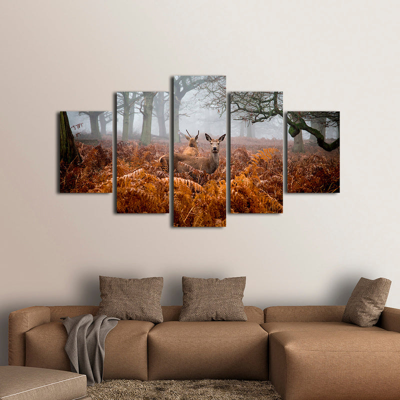 Richmond Park Deer Wall Art