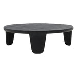 Finnley Coffee Table | ready to ship!