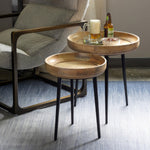 Lovecup Nested Wood and Iron Occasional Tables, Set of 2 L054