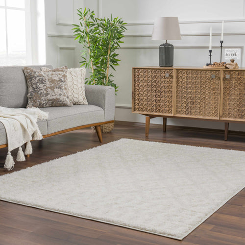 Eivin Cream Area Rug