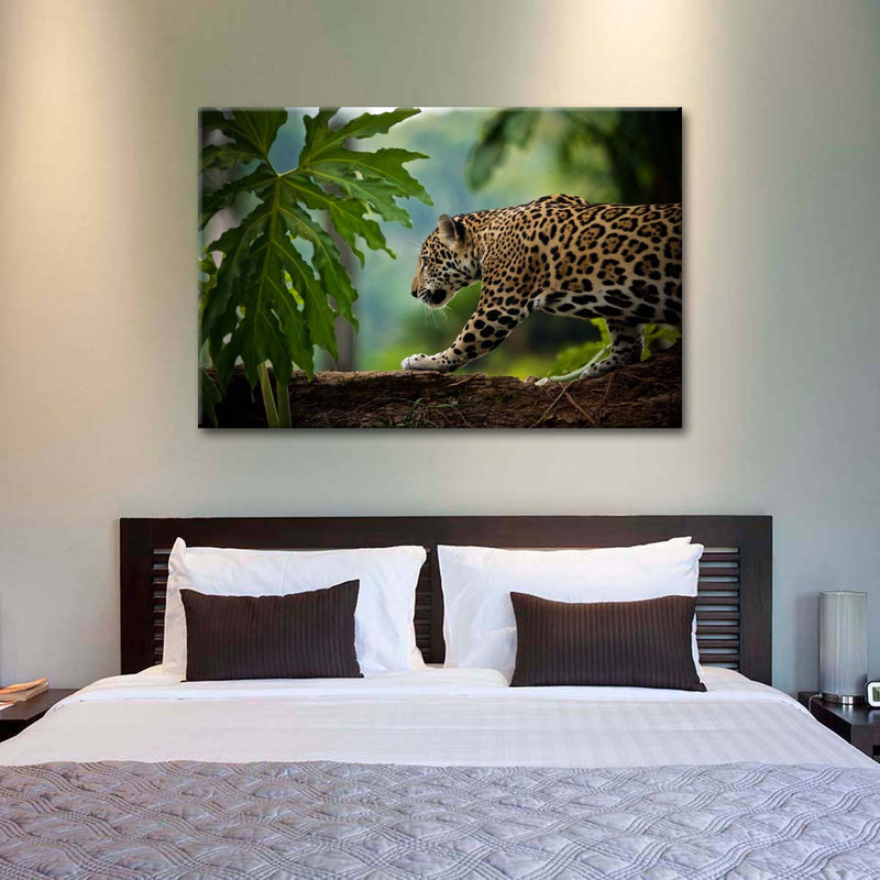 Sneaky Jaguar Wall Art