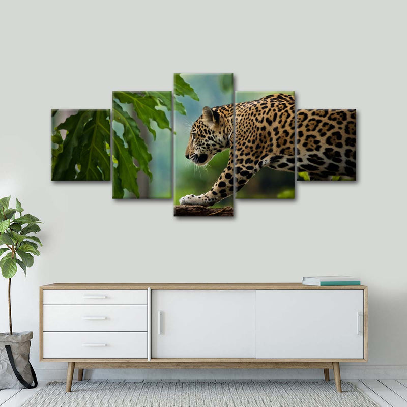 Sneaky Jaguar Wall Art