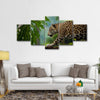 Sneaky Jaguar Wall Art