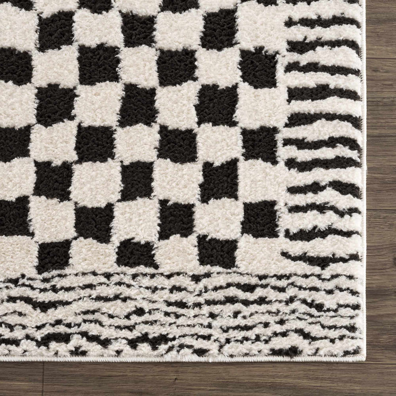 Leryn Black & White Checkered Area Rug