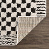 Leryn Black & White Checkered Area Rug