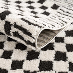 Leryn Black & White Checkered Area Rug