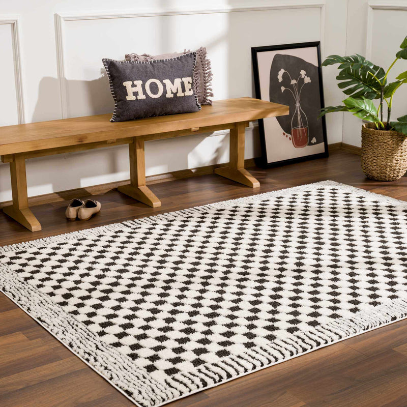 Leryn Black & White Checkered Area Rug