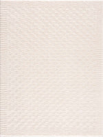Leryn Ivory Checkered Area Rug