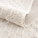 Leryn Ivory Checkered Area Rug