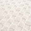 Leryn Ivory Checkered Area Rug