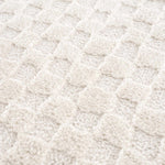 Leryn Ivory Checkered Area Rug