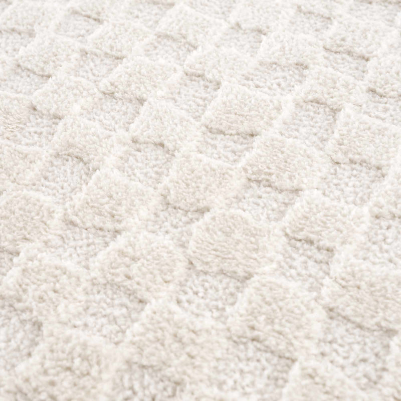 Leryn Ivory Checkered Area Rug
