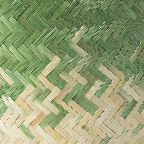 Kostenets Grass Green Decorative Accent