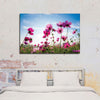 Wild Cosmos Flowers Wall Art