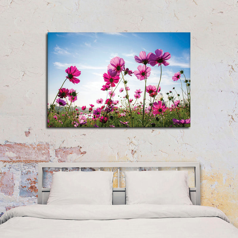 Wild Cosmos Flowers Wall Art
