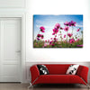 Wild Cosmos Flowers Wall Art