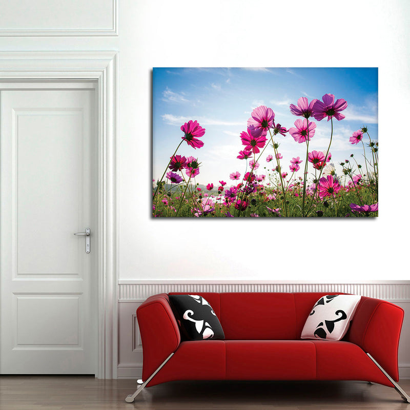 Wild Cosmos Flowers Wall Art