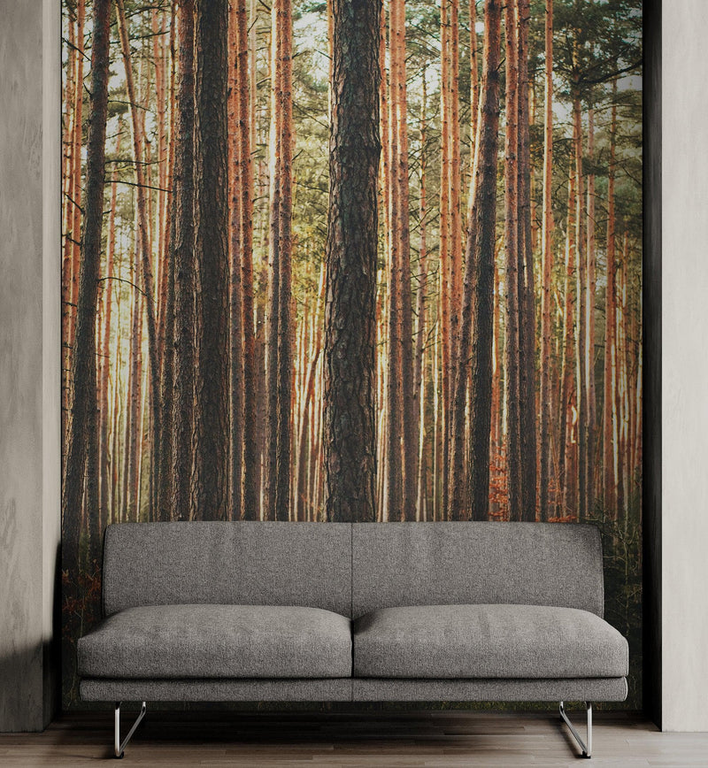 Forest Wallpaper Mural. Woodland Country Theme / Farmhouse Wall Decor. #6777