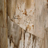 Aida Light Petrified Wood End Table | shipping 08/15/2025