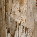 Aida Light Petrified Wood End Table | shipping 08/15/2025