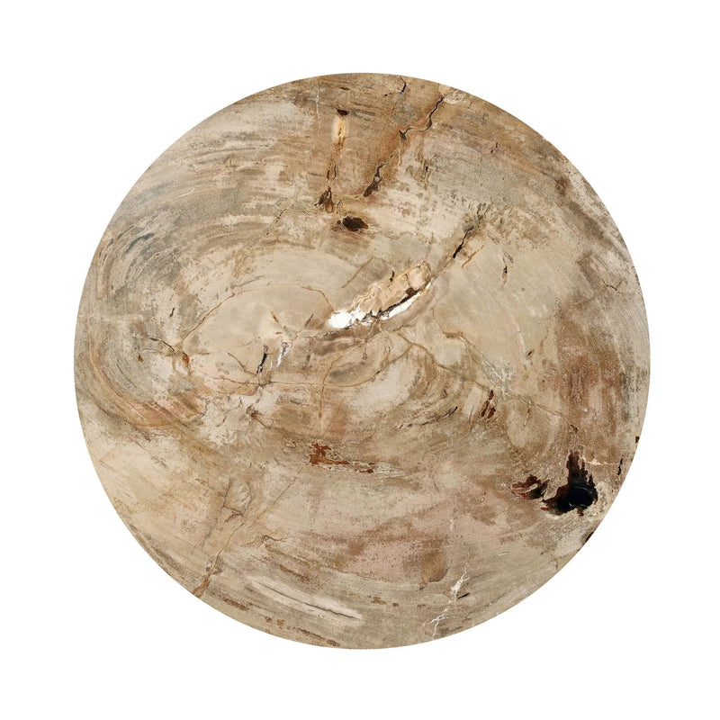 Aida Light Petrified Wood End Table | shipping 08/15/2025
