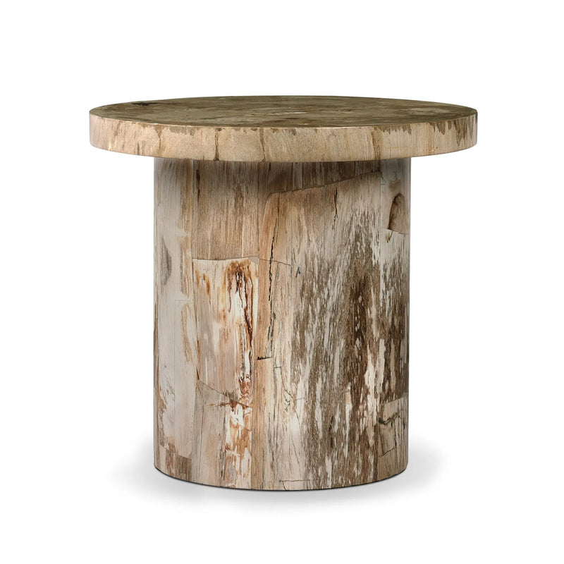 Aida Light Petrified Wood End Table | shipping 08/15/2025
