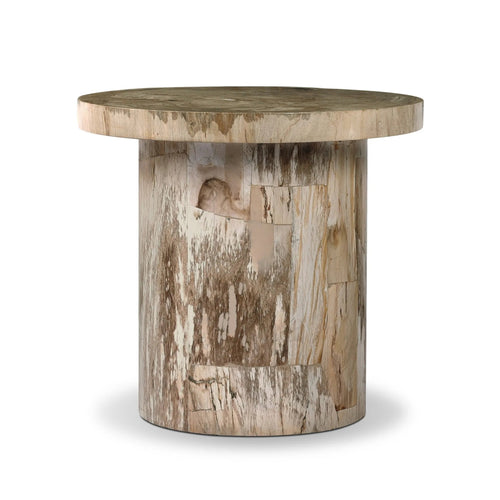 Aida Light Petrified Wood End Table | shipping 08/15/2025