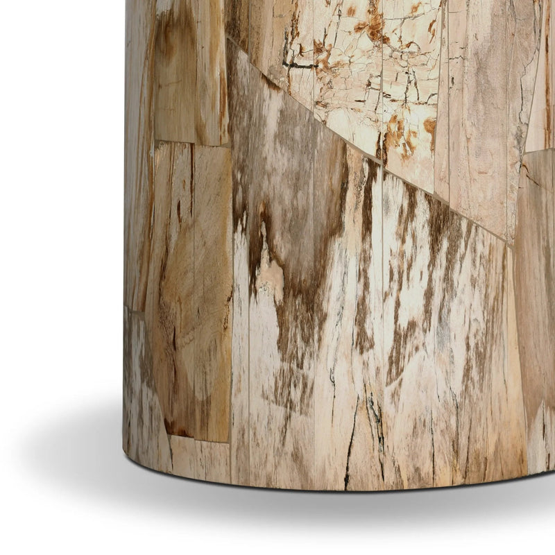 Aida Light Petrified Wood End Table | shipping 08/15/2025