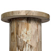Aida Light Petrified Wood End Table | shipping 08/15/2025