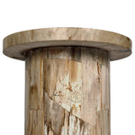 Aida Light Petrified Wood End Table | shipping 08/15/2025