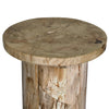 Aida Light Petrified Wood End Table | shipping 08/15/2025