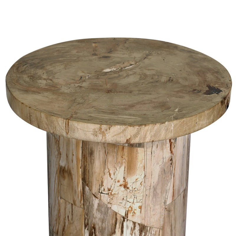 Aida Light Petrified Wood End Table | shipping 08/15/2025
