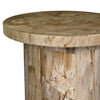 Aida Light Petrified Wood End Table | shipping 08/15/2025
