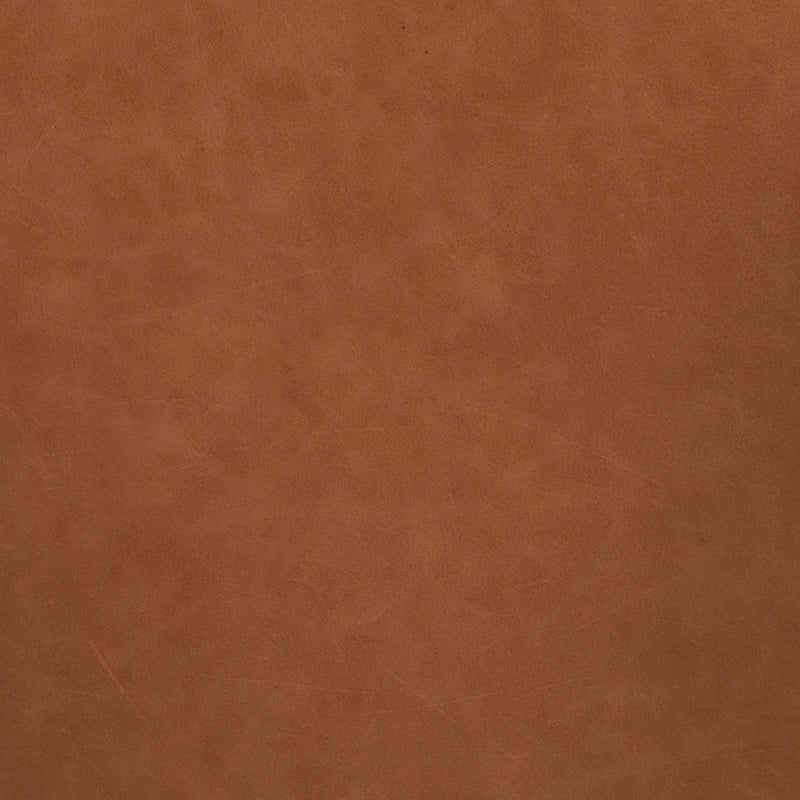 Amare Sonoma Butterscotch Dining Armchair | ready to ship!