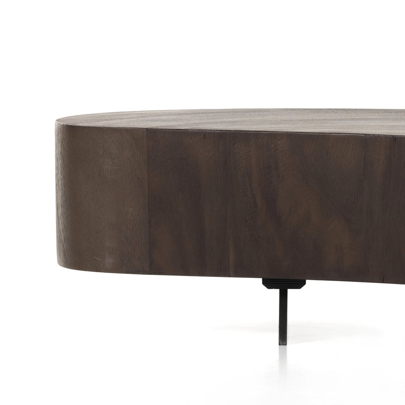 Avett Short Pc- Guanacaste Coffee Table | ready to ship!