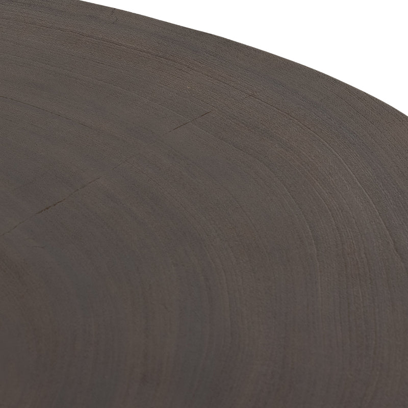Avett Short Pc- Guanacaste Coffee Table | ready to ship!