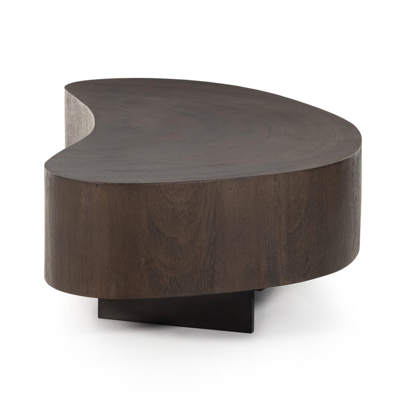 Avett Short Pc- Guanacaste Coffee Table | ready to ship!
