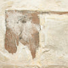 Basalt Vertical Grain White Oak Floater by Paul Meyer
