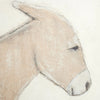 Burro Maple Box Dia by Paul Meyer