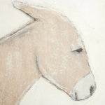 Burro Maple Box Dia by Paul Meyer