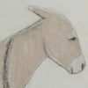 Burro Maple Box Dia by Paul Meyer