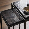 Dexter Smoked Black Cast Glass Nesting Tables | ready to ship!