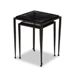 Dexter Smoked Black Cast Glass Nesting Tables | ready to ship!